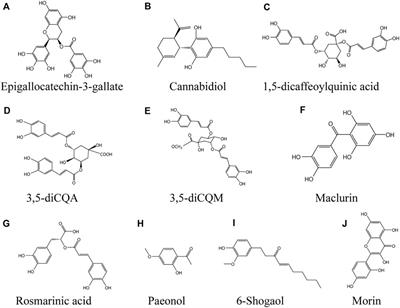 Plant-Derived Compounds as Promising Therapeutics for Vitiligo